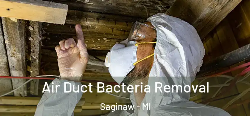 Air Duct Bacteria Removal Saginaw - MI