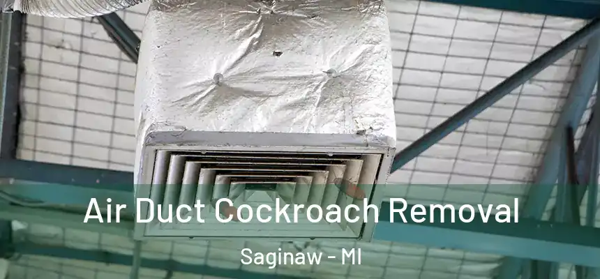  Air Duct Cockroach Removal Saginaw - MI