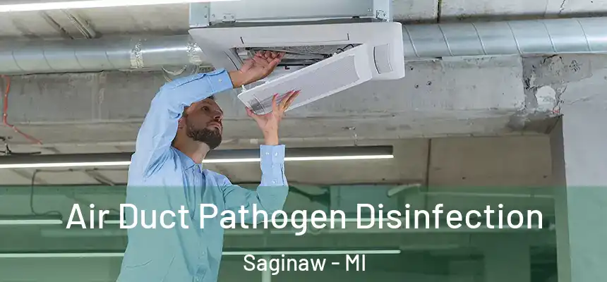 Air Duct Pathogen Disinfection Saginaw - MI