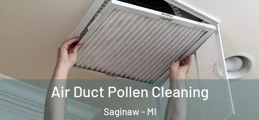 Air Duct Pollen Cleaning Saginaw - MI