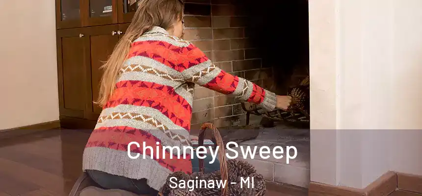 Chimney Sweep Saginaw - MI