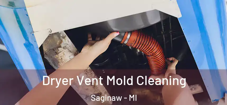 Dryer Vent Mold Cleaning Saginaw - MI