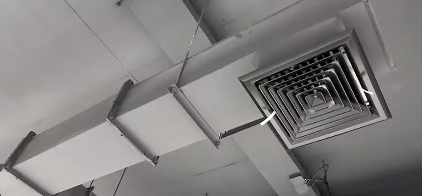 Our Rodent Droppings In Vents Services in Saginaw, MI