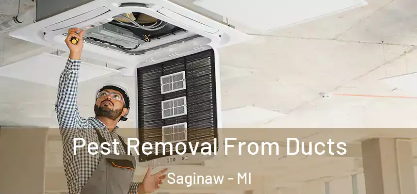  Pest Removal From Ducts Saginaw - MI