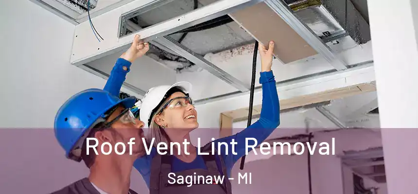  Roof Vent Lint Removal Saginaw - MI