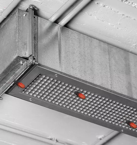 About Air Duct Cockroach Removal in Saginaw, MI