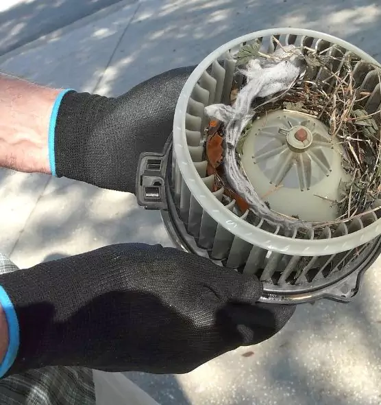 About Air Duct Rat Removal in Saginaw, MI