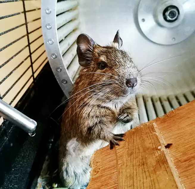 Why Homeowners & Businesses Trust Us Saginaw, MI?