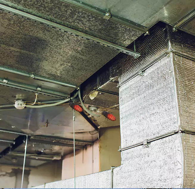 Why Homeowners & Businesses Trust Us Saginaw, MI?